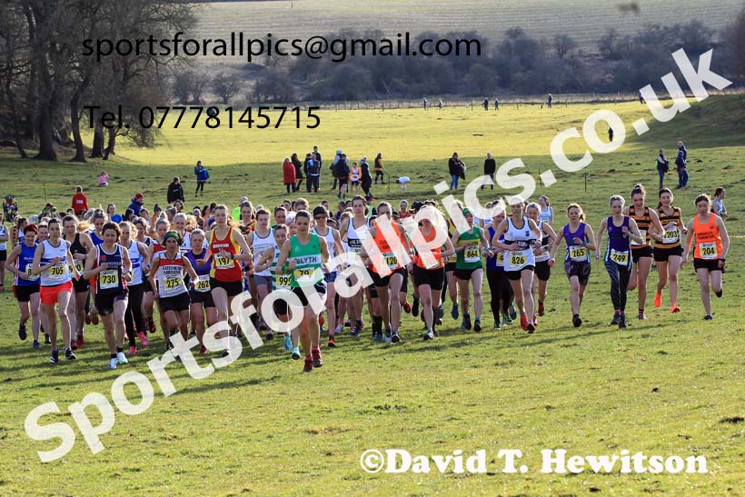 Senior womens 2023 NEHL, Thornley Farm, Peterlee, County Durham. Photo: David T. Hewitson/Sports for All Pics